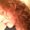 Photo of Molly M.