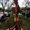 Photo of Debi S.