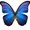Photo of Blue B.
