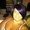 Photo of Lisa R.