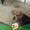 Photo of Shannen C.