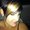 Photo of Kara L.