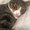 Photo of Heather-Mariah D.