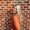 Photo of Ashleigh S.