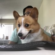 google avatar