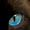 Photo of Luna S.