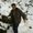 Photo of Mohammad D.