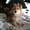 Photo of Rhea D.