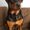 Photo of Leandra C.