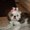 Photo of Margo J.