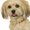 Photo of Qype User (christ…)