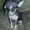 Photo of Beatriz M.
