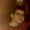Photo of Nick P.