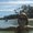Photo of Stacie F.