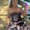 Photo of Raylene S.