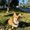 Photo of Quyen L.