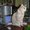 Photo of Qype User (bridge…)