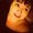 Photo of Dani C.