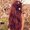 Photo of Molly N.