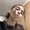 Photo of Alina G.