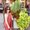 Photo of Hannah M.