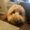 Photo of Alfonso J.