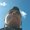 Photo of Damian G.