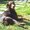 Photo of Christina C.