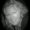 Photo of Kristy B.