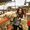Photo of Kristen N.