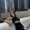 Photo of Sofiia K.