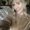Photo of Amanda R.