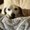 Photo of Tippi B.