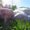 Photo of Nikki P.