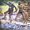 Photo of Na Ree K.