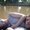 Photo of Amitay F.