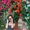 Photo of Leonor C.