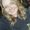 Photo of Ashlee H.