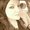 Photo of Amanda s.