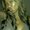 Photo of Candice F.