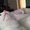 Photo of Cailin C.