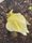 Photo of 目
