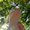 Photo of Qype User (eeris…)