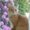 Photo of Patricia M.