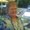 Photo of Martha T.