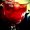 Photo of Dahlia N.