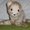 Photo of Qype User (katzis…)