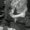 Photo of Tony D.
