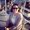 Photo of Angie C.