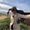 Photo of Neda M.